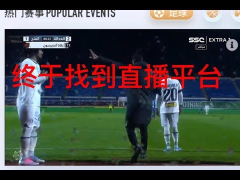 常规赛,浙江迎战新,世界杯下注,世界杯下注,2026世界杯投注,赔率分析,下注技巧,体育博彩