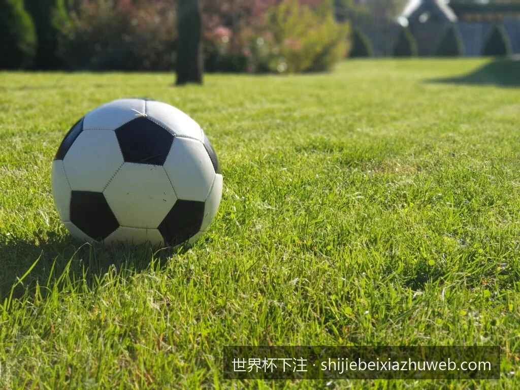 理性娱乐：世界杯下注中的合理资金管理与防骗安全常识